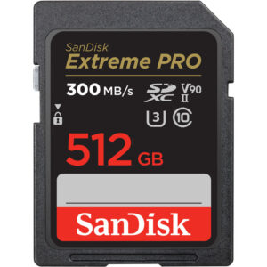 SanDisk 512GB Extreme PRO UHS-II SDXC Memory Card (SDSDXDK-512G-GN4IN)