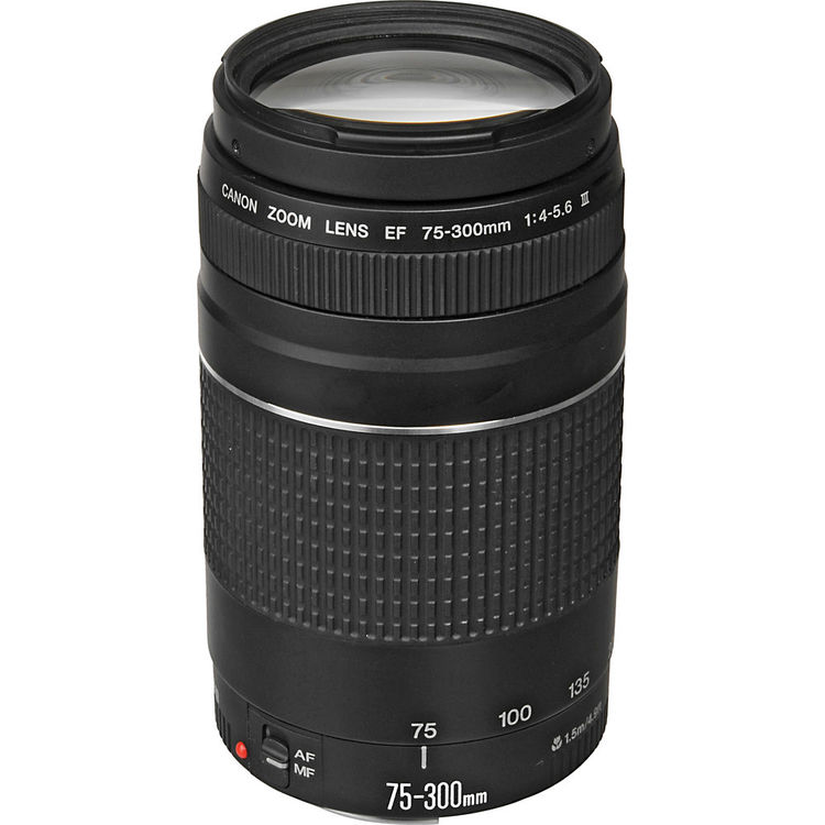 Canon EF 75-300mm f/4.0-5.6 III Zoom Telephoto Lens