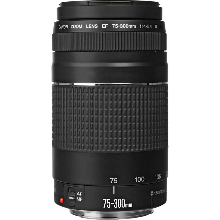 Canon EF 75-300mm f/4.0-5.6 III Zoom Telephoto Lens - Image 2