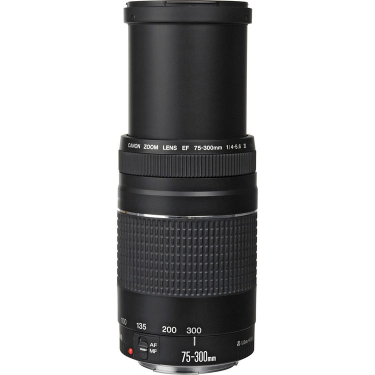 Canon EF 75-300mm f/4.0-5.6 III Zoom Telephoto Lens - Image 3