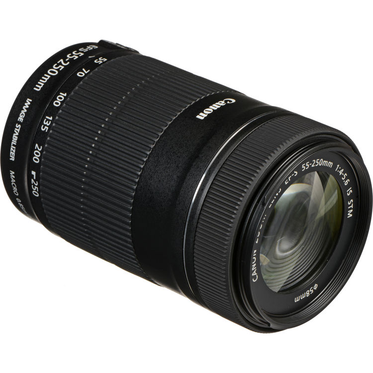 Canon EF-S 55-250mm f/4-5.6 IS STM Lens - Image 4