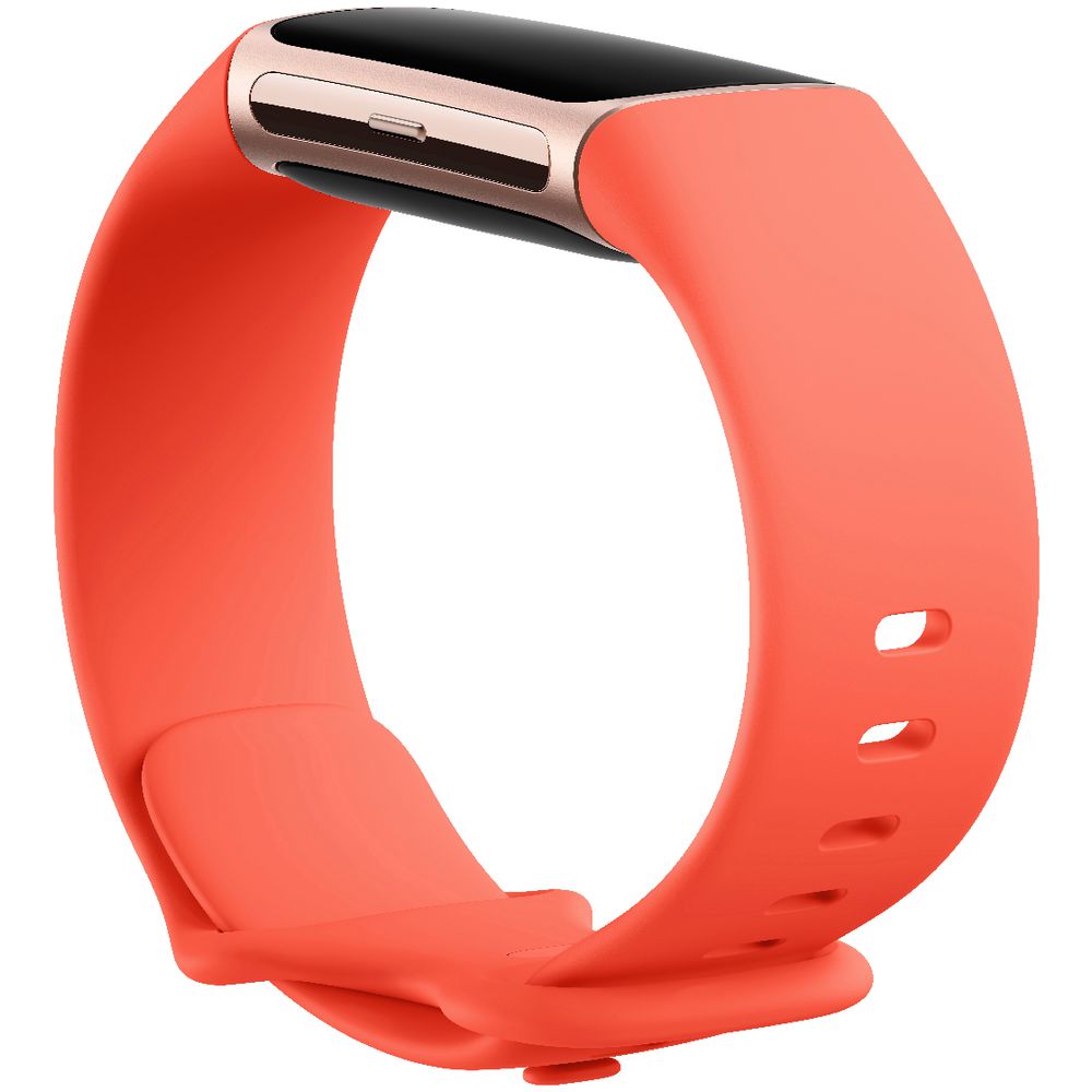 Fitbit Charge 6 Fitness Wristband (Coral/ Champagne Gold) - Image 3