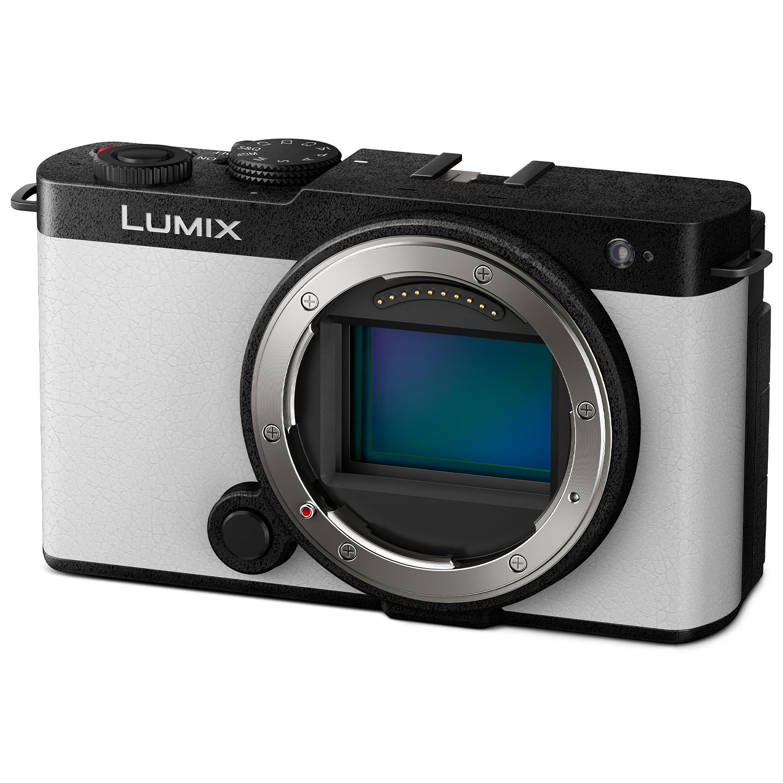 Panasonic LUMIX S9 Mirrorless Camera with 18-40mm f/4.5-6.3 Lens (Silver) - Image 2