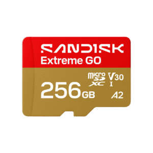 Sandisk Extreme GO MicroSDHC UHS-I (256GB, SDSQXGN-256G-GN6MN)