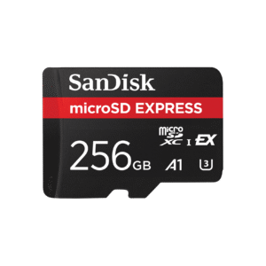Sandisk microSDHC Express Card (256GB, SDSQXFN-256G-GN4NN)