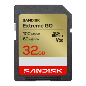 Sandisk Extreme GO SD UHS-I Card (32GB, SDSDXGN-032G-GNCIN)