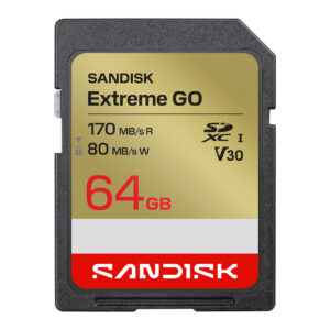 Sandisk Extreme GO SD UHS-I Card (64GB, SDSDXGN-064G-GNCIN)