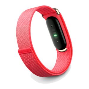 Google Fitbit Air Fitness Tracker (Berry, GA11016)