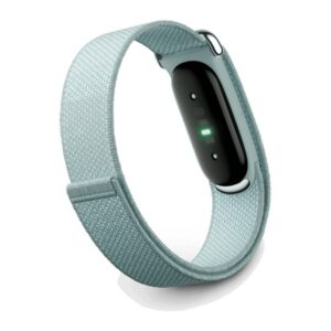 Google Fitbit Air Fitness Tracker (Fog) (Japan Version)